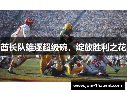 酋长队雄逐超级碗，绽放胜利之花